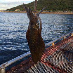 今日は家族でエギング